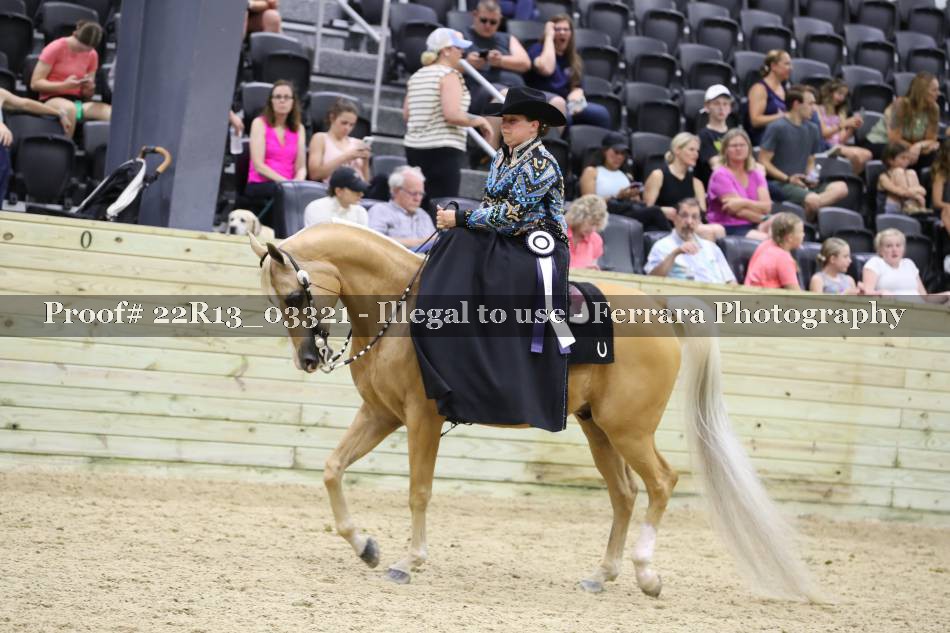 Proof 22R13_03321
