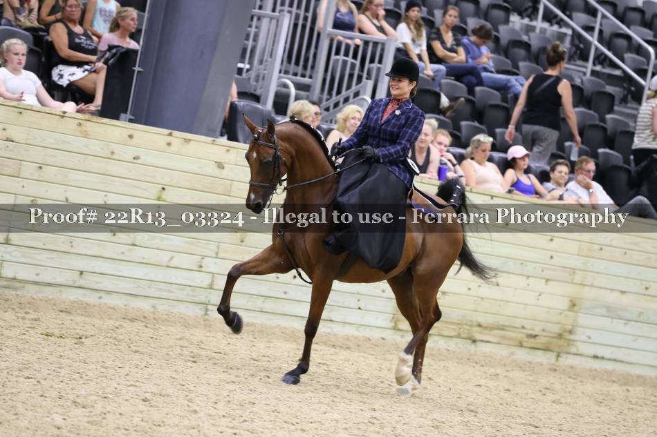 Proof 22R13_03324