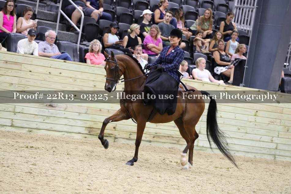 Proof 22R13_03325