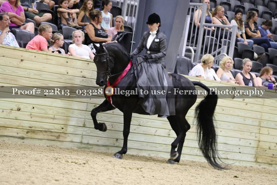 Proof 22R13_03328
