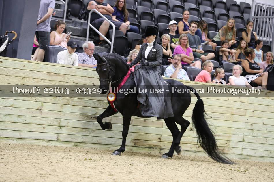 Proof 22R13_03329