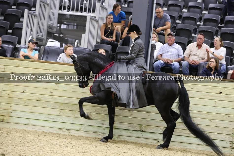 Proof 22R13_03333