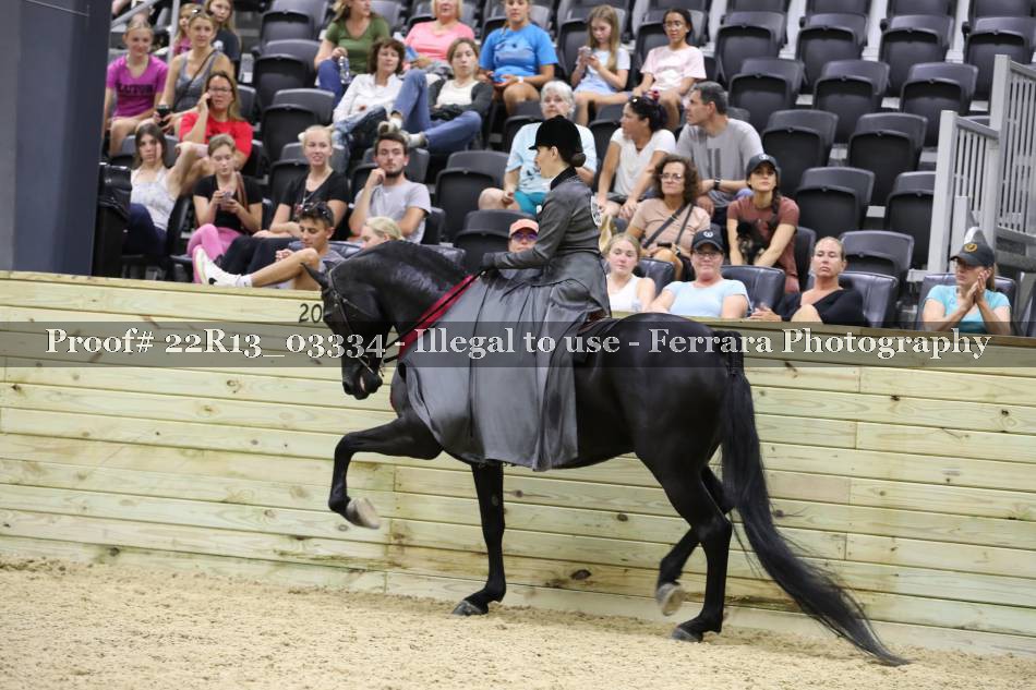 Proof 22R13_03334