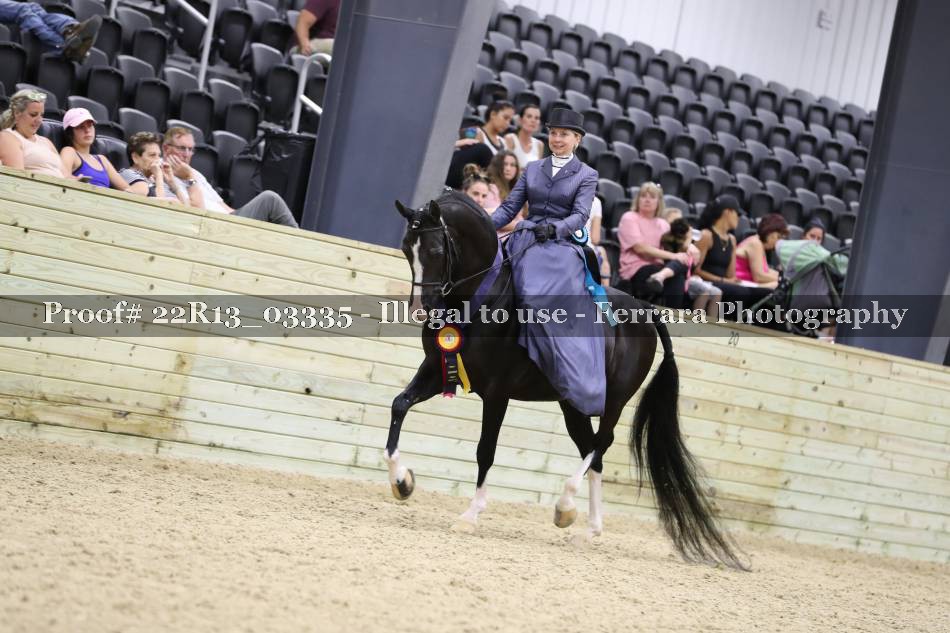 Proof 22R13_03335