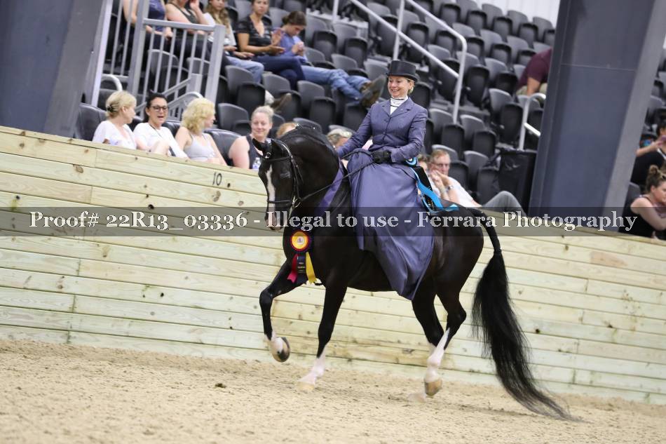 Proof 22R13_03336