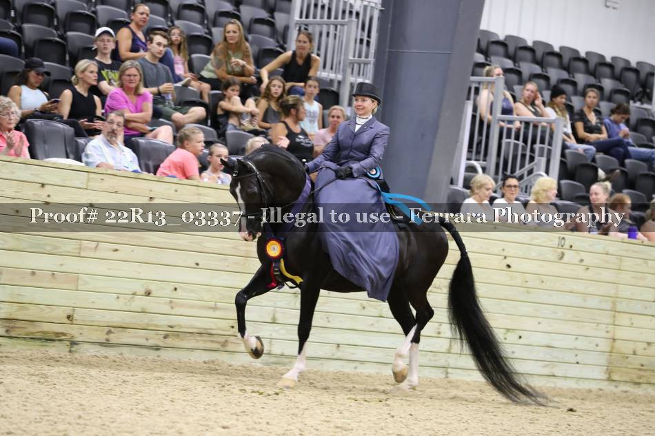 Proof 22R13_03337