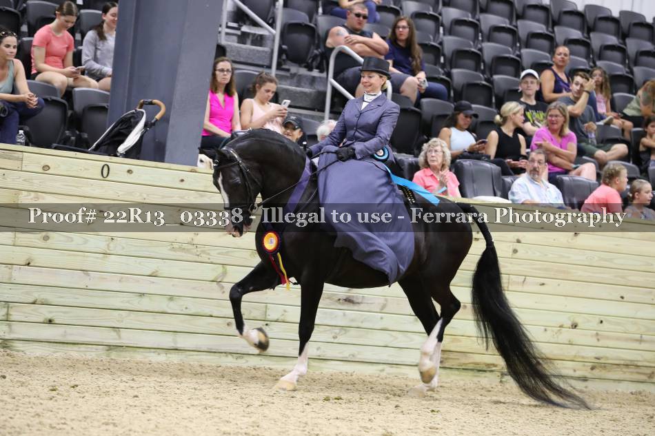 Proof 22R13_03338