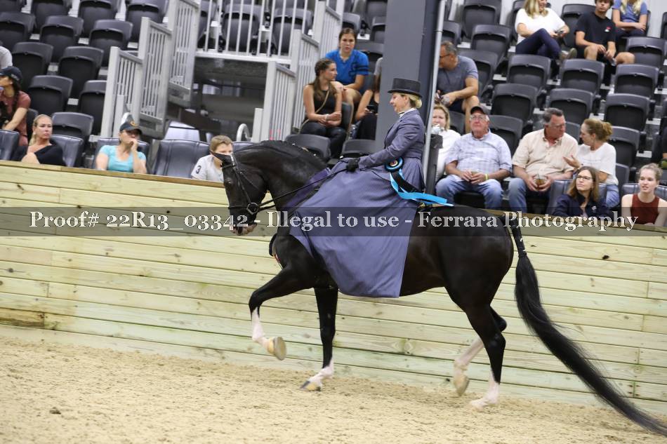 Proof 22R13_03342
