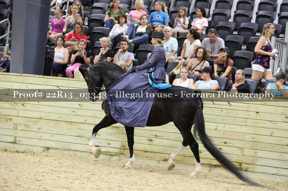 Proof 22R13_03343