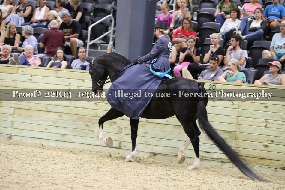 Proof 22R13_03344