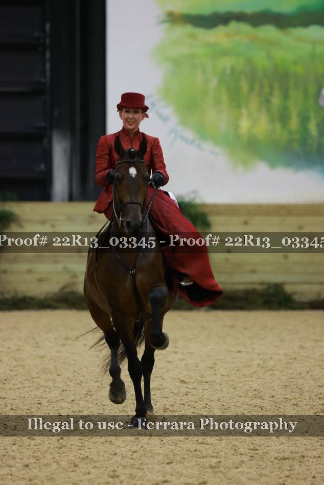 Proof 22R13_03345