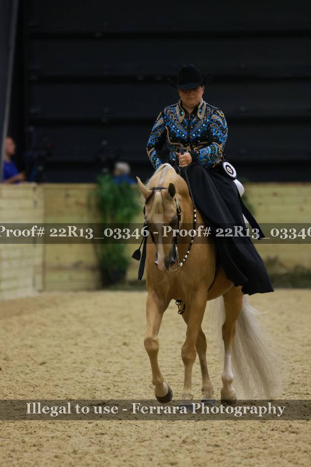 Proof 22R13_03346