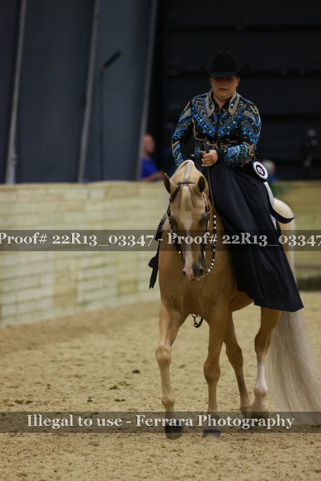 Proof 22R13_03347