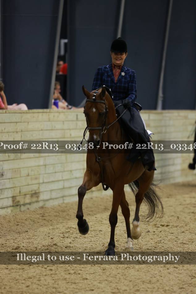 Proof 22R13_03348