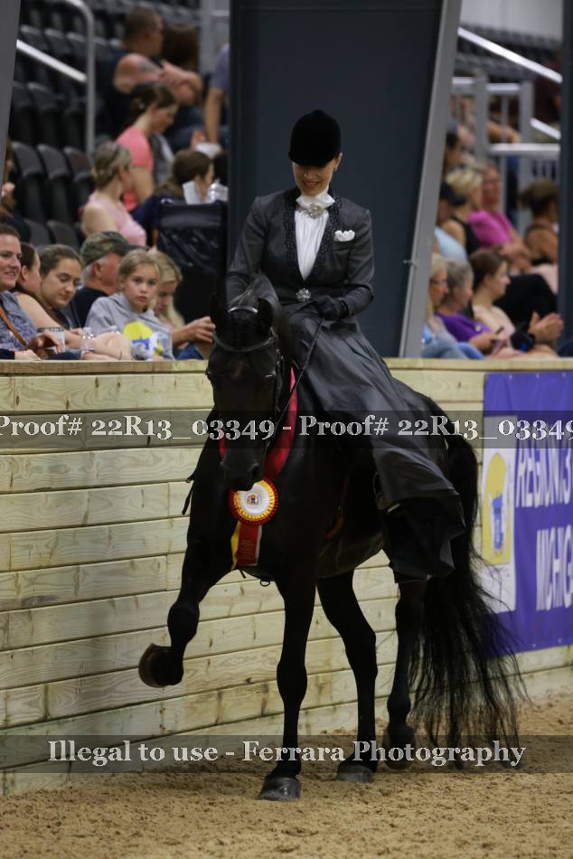 Proof 22R13_03349