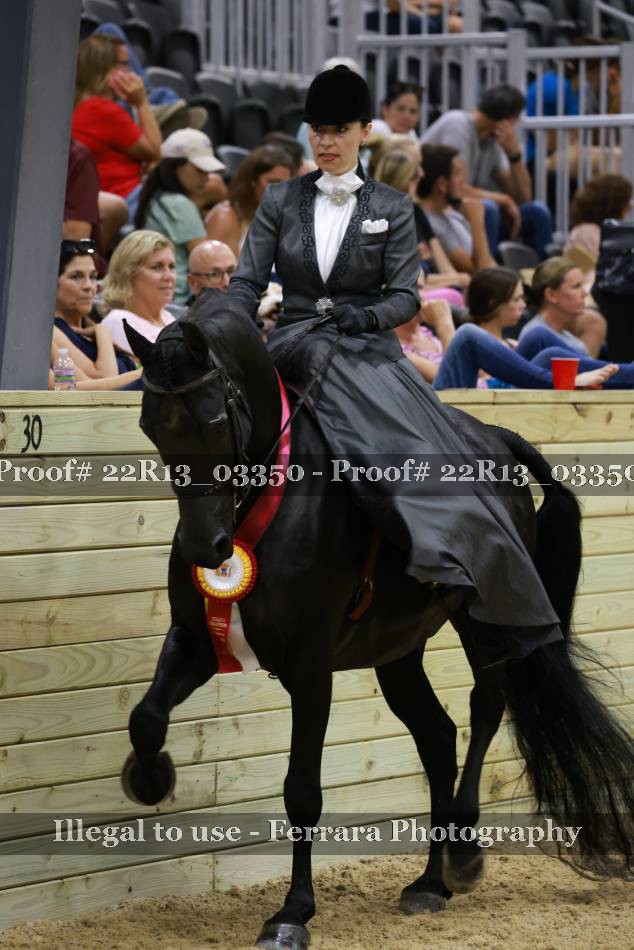 Proof 22R13_03350