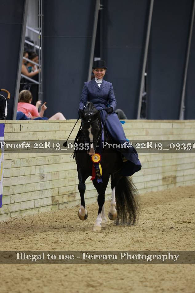 Proof 22R13_03351