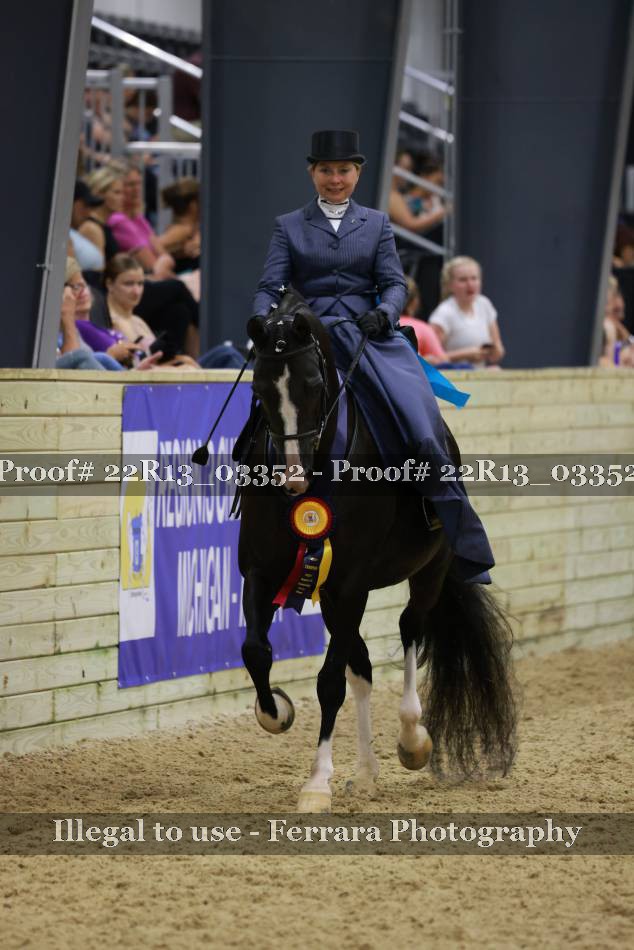 Proof 22R13_03352