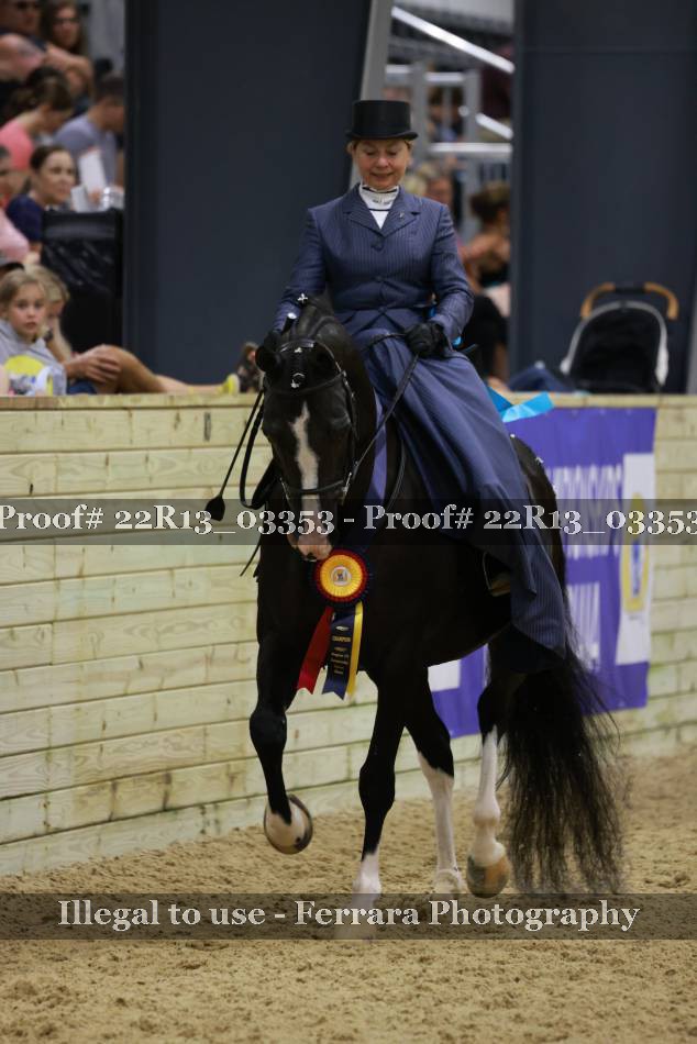 Proof 22R13_03353