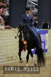 22R13_03353 proof