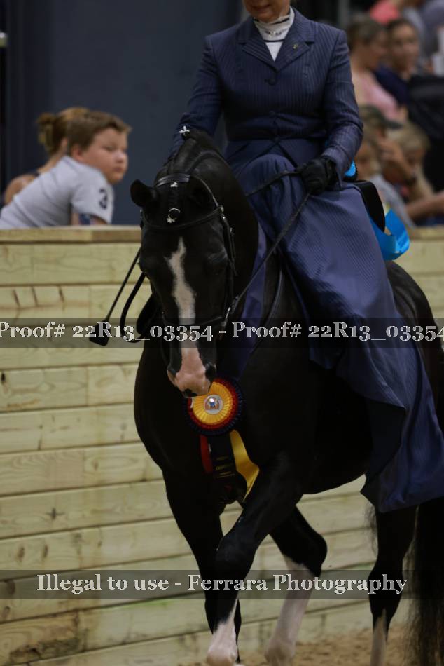 Proof 22R13_03354