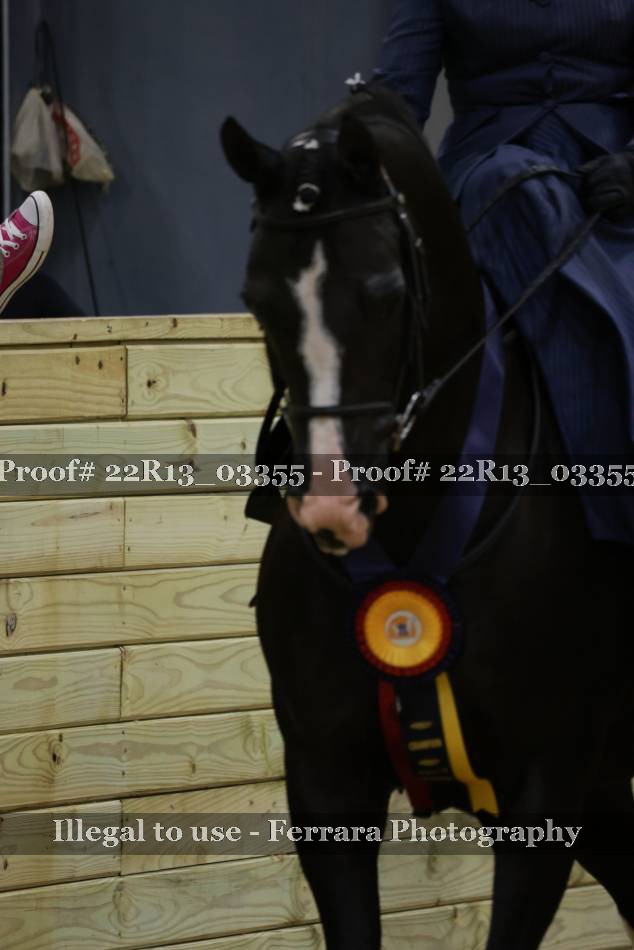 Proof 22R13_03355