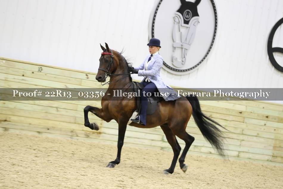 Proof 22R13_03356