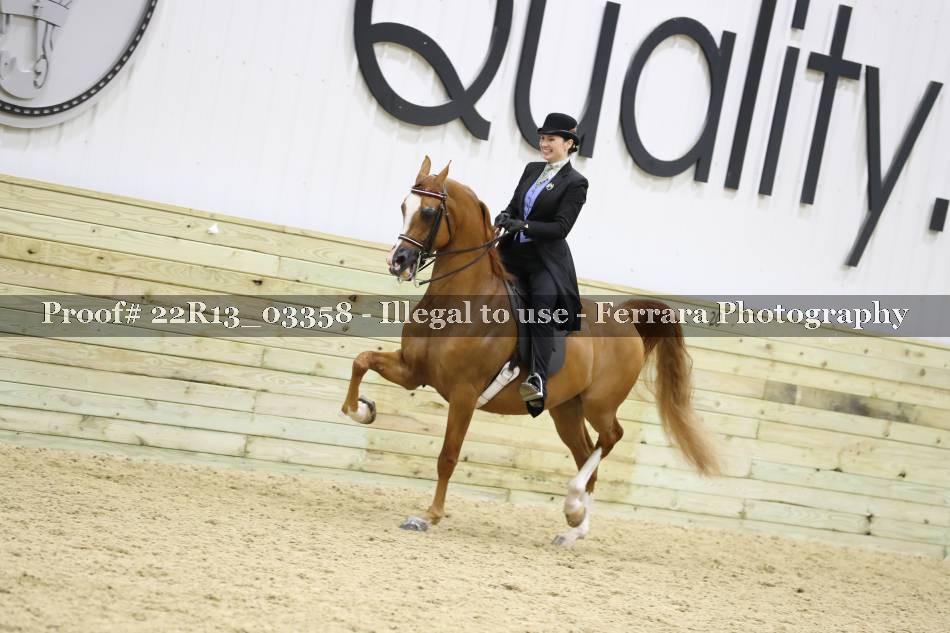Proof 22R13_03358