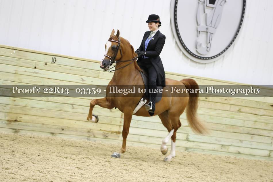 Proof 22R13_03359