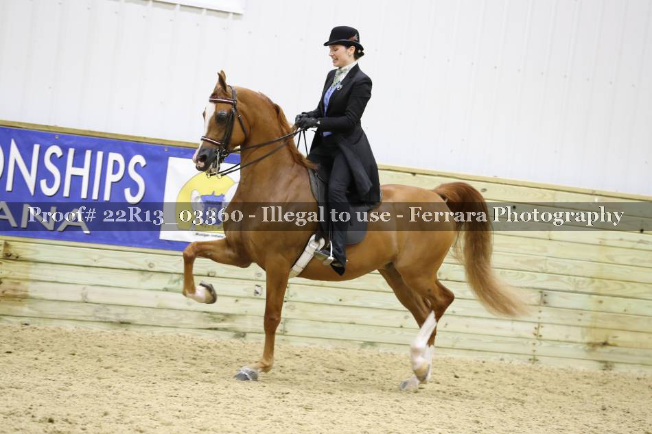 Proof 22R13_03360