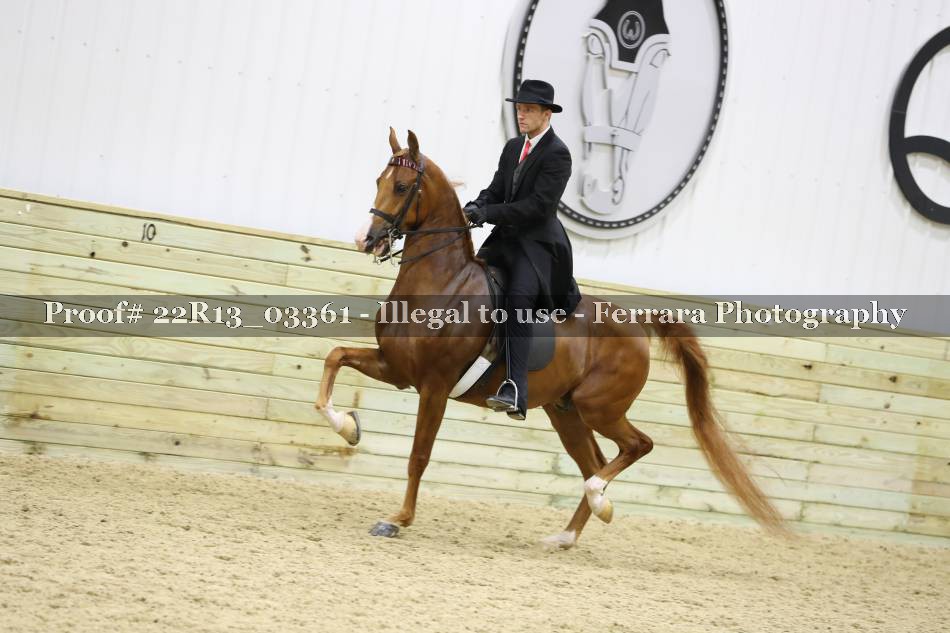 Proof 22R13_03361