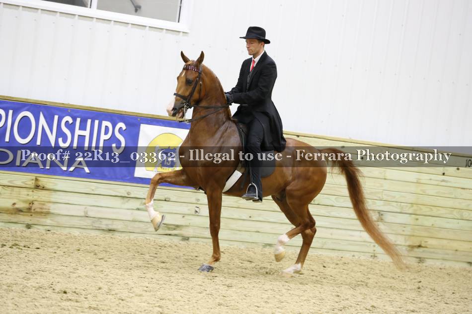 Proof 22R13_03362