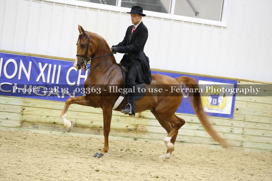 Proof 22R13_03363