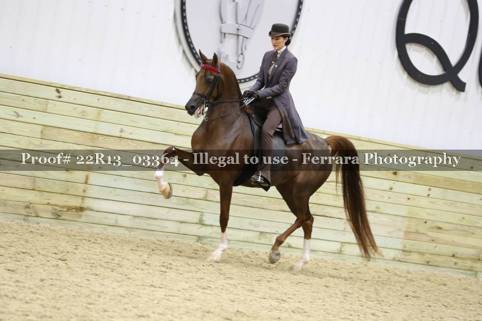 Proof 22R13_03364