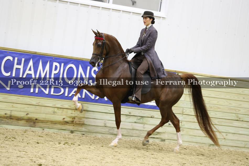 Proof 22R13_03365
