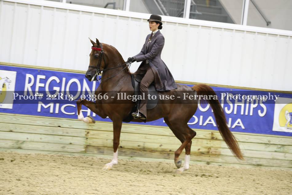 Proof 22R13_03366