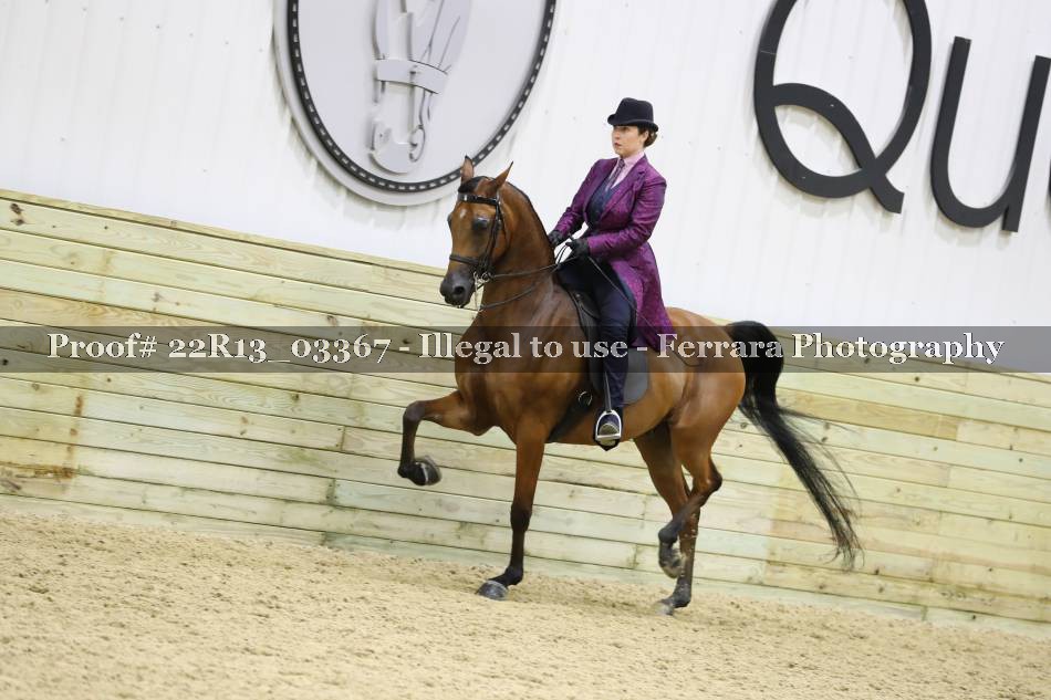 Proof 22R13_03367