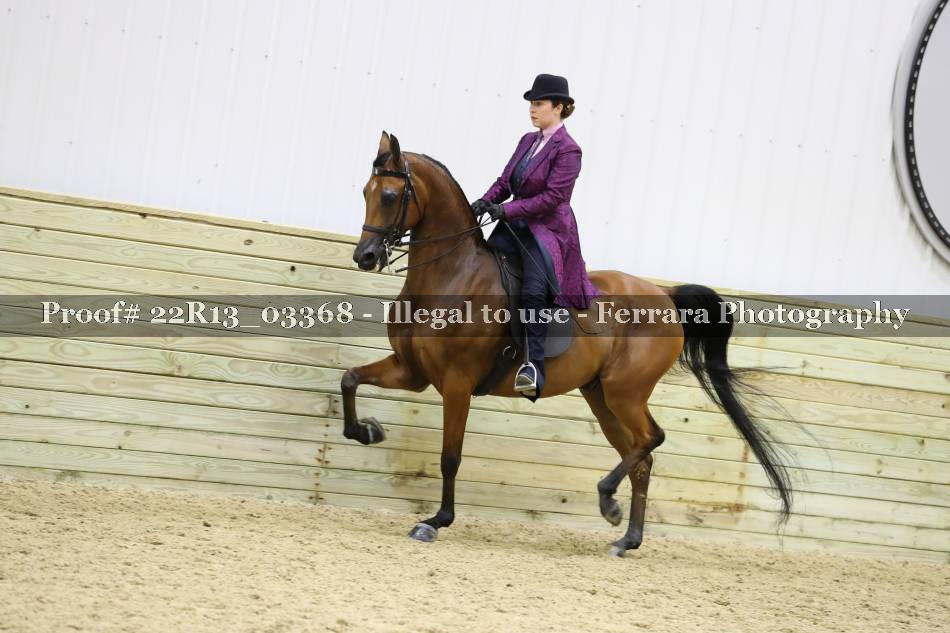 Proof 22R13_03368