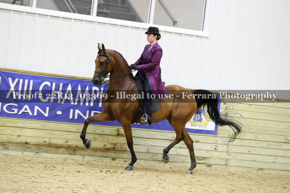 Proof 22R13_03369