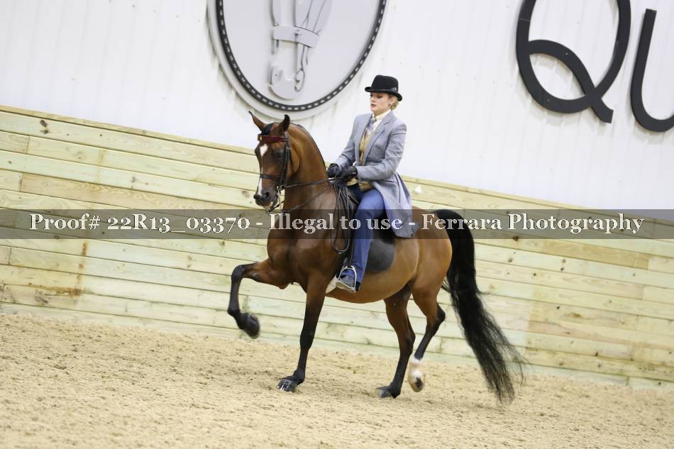 Proof 22R13_03370