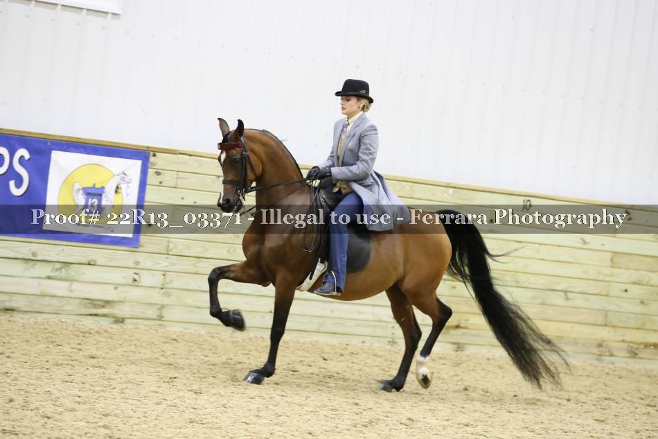 Proof 22R13_03371