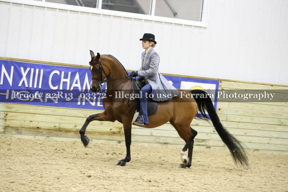 Proof 22R13_03372