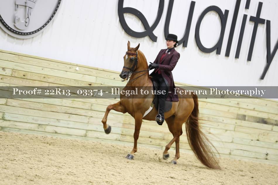 Proof 22R13_03374