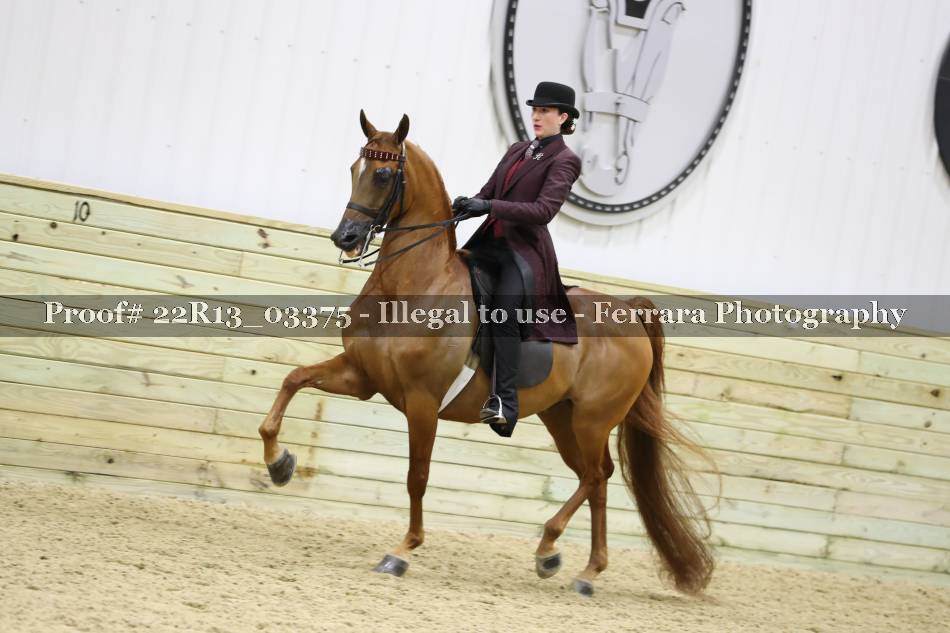 Proof 22R13_03375