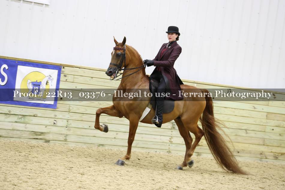 Proof 22R13_03376