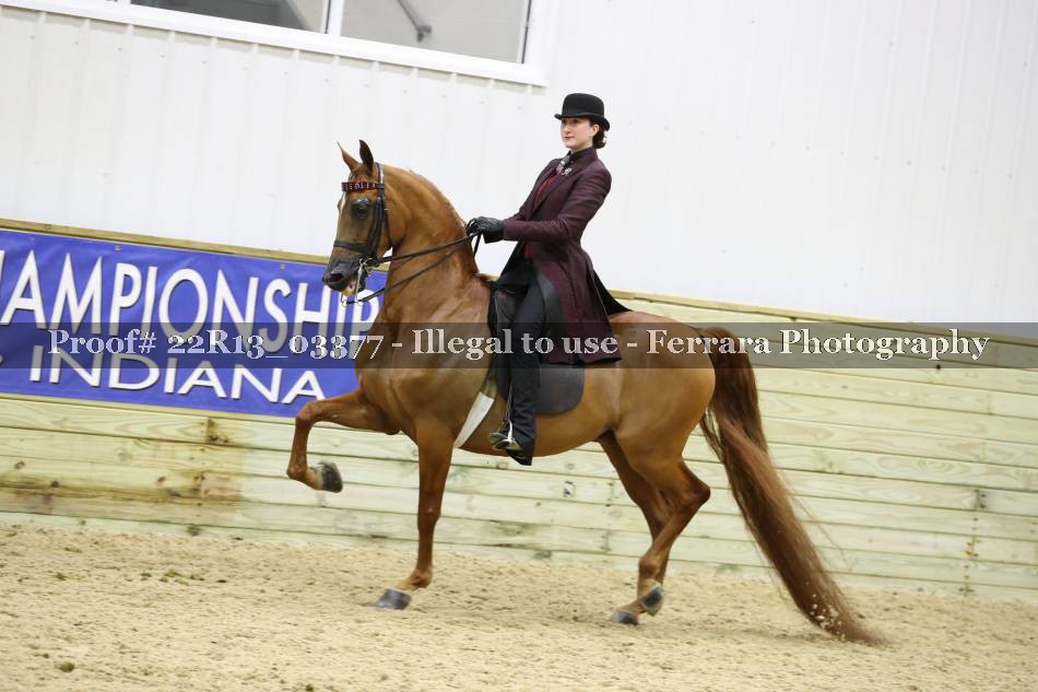 Proof 22R13_03377