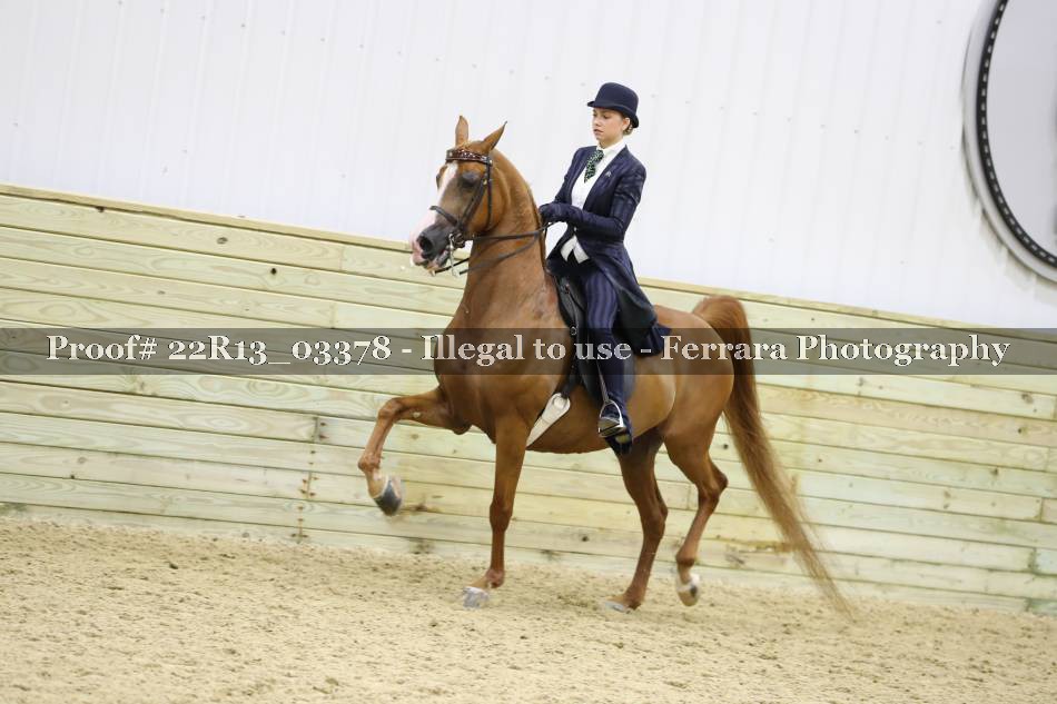 Proof 22R13_03378