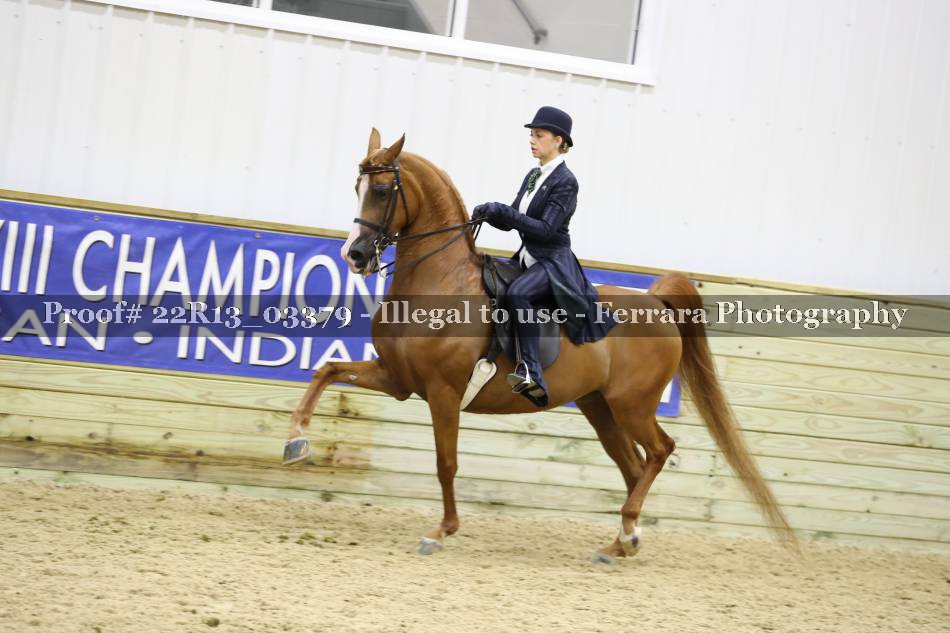 Proof 22R13_03379