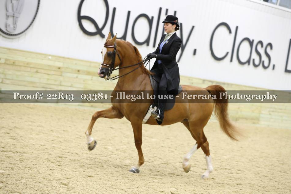 Proof 22R13_03381
