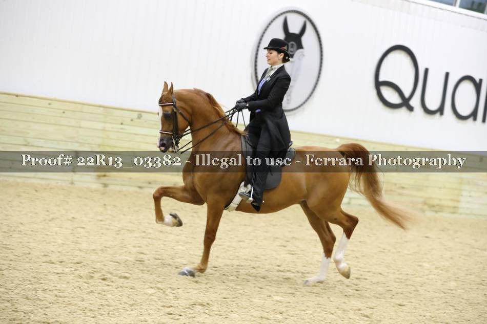 Proof 22R13_03382